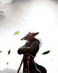 太子殿下的将军夫